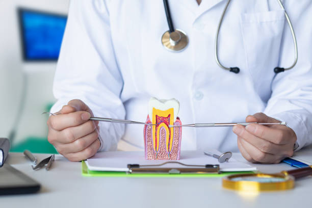 Best Urgent Tooth Repair  in Paramus, NJ